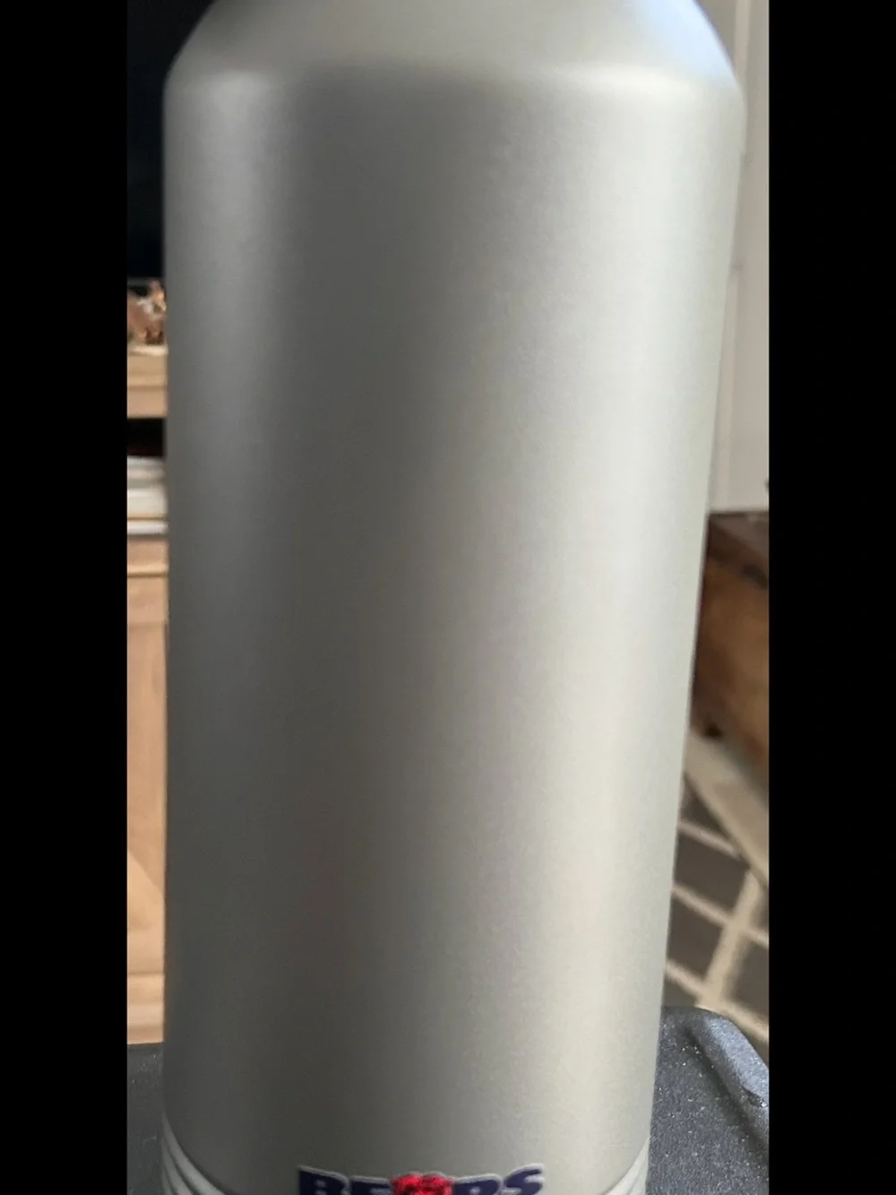 Stainless Steel Silver Water Bottle - BEARS Logo